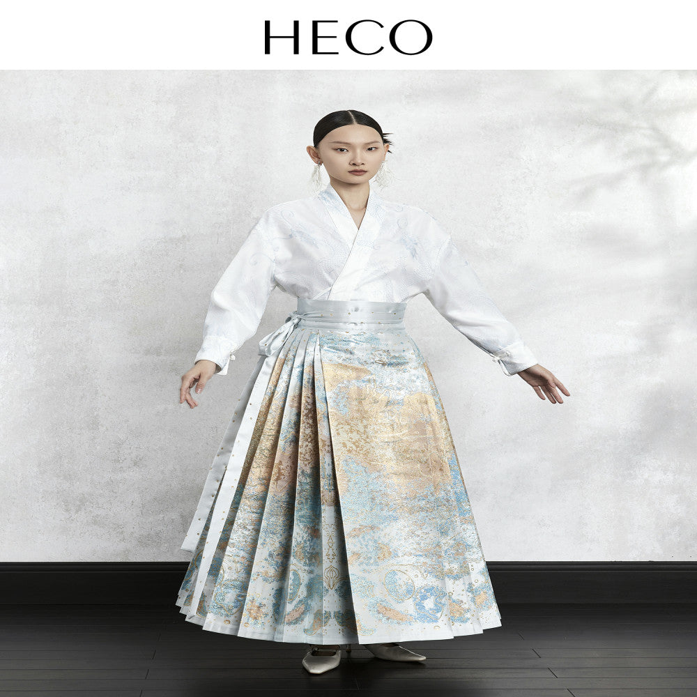 HECO Nebula Fantasy New Chinese style woven gold jacquard horse face skirt 2025 new style temperament high end half skirt image 22