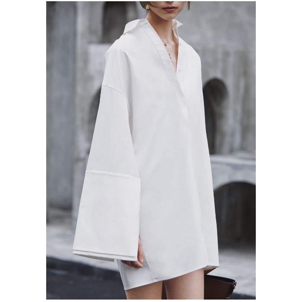 AEL Original New Shirt Women s Design Sense Niche Dress Loose Long Shirt Autumn 2025 New Style image 1