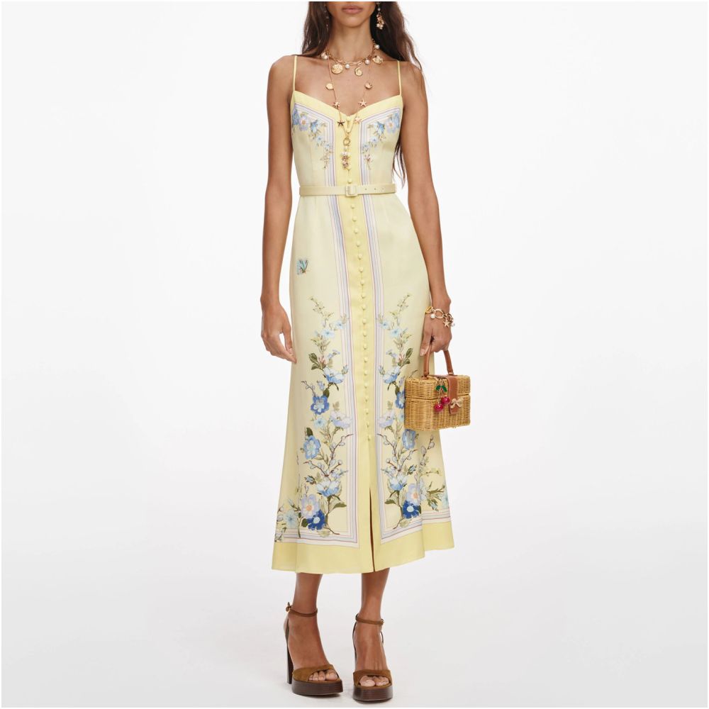 SP Home Shenzhen Nanyou High end Women s Wear 2026 Spring French Holiday Style Printed Medium to Long Strap Dress for Women image 1