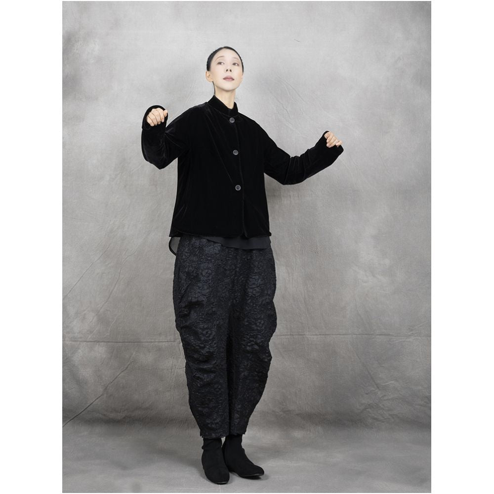 Early autumn long sleeved stand up collar velvet fashionable shirt top coat lantern wide leg sickle banana small leg pants set image 3
